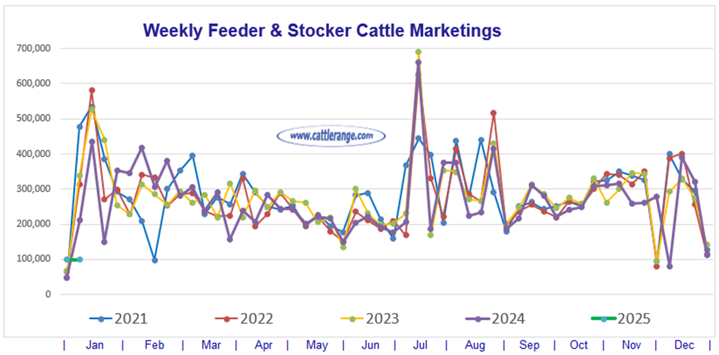 Feeder & Stocker Cattle Marketings for the week ending 1/4/25