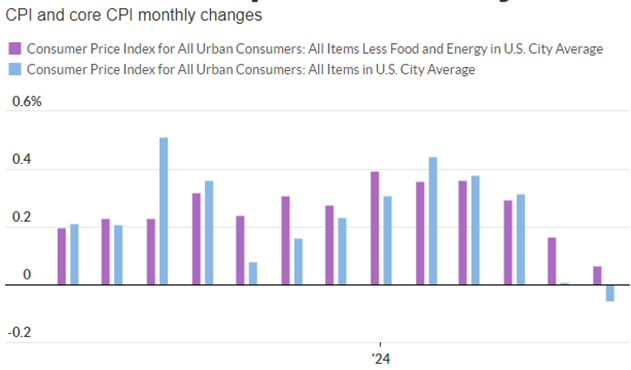 CPI Inflation Falls for First Time since Pandemic in 2020 Cattle Range