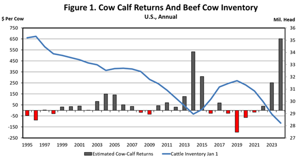 Cattle Markets 2025: To Retain or Not to Retain