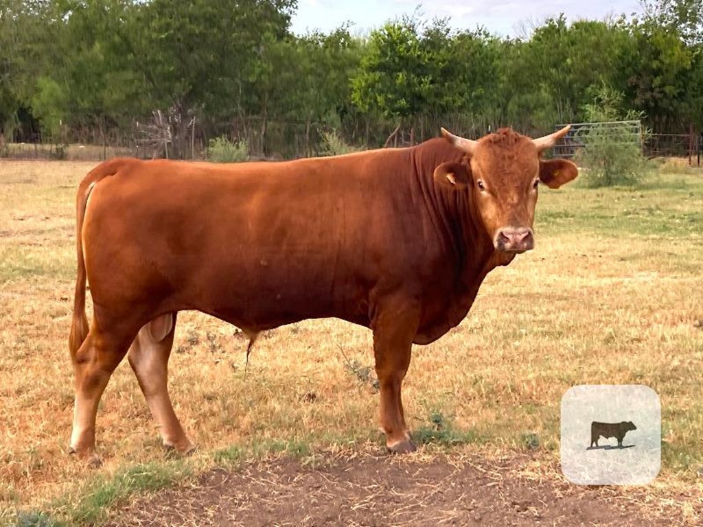 Cattle Range Listing Photo