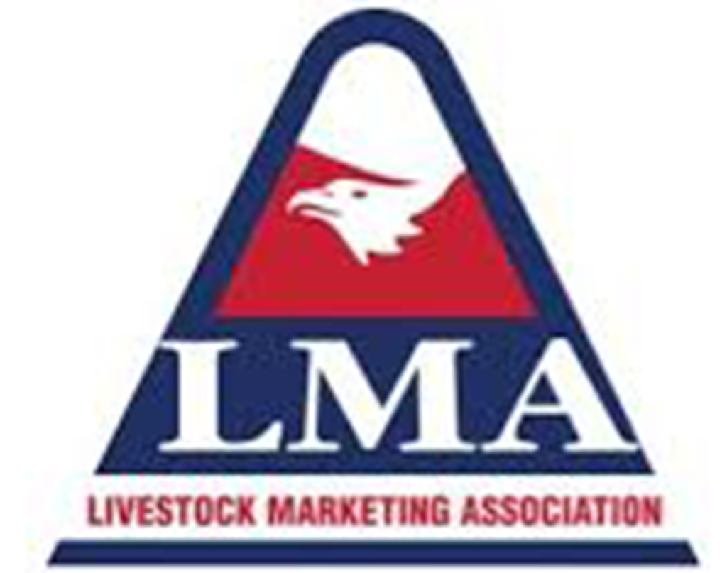 LMA: EID Enforcement Must be Suspended Immediately