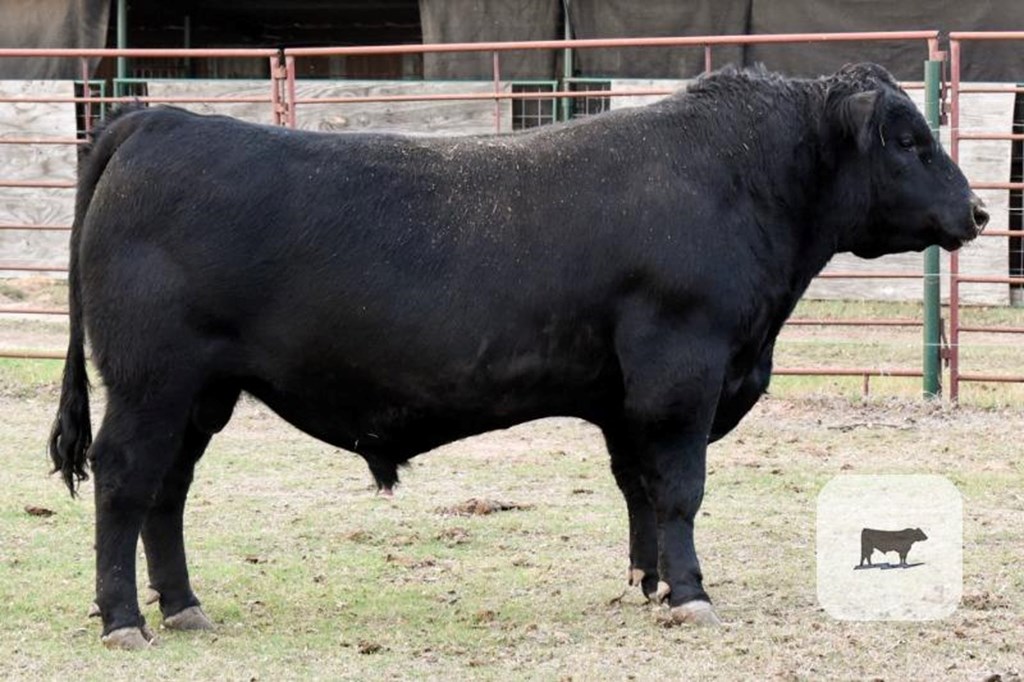 Cattle Range Listing Photo