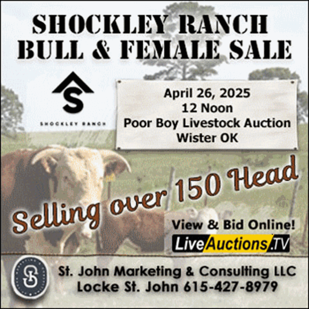 United States Cattle On Feed Down 1 Percent Cattle Range united-states-cattle-on-feed-down-1-percent-cattle-range
