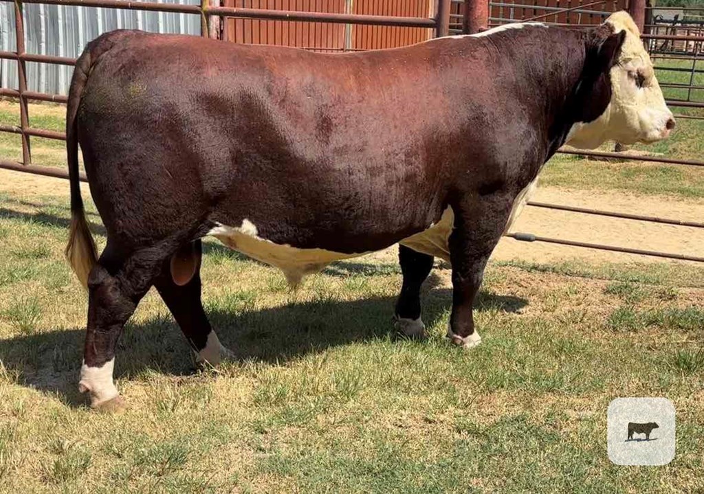 Cattle Range Listing Photo