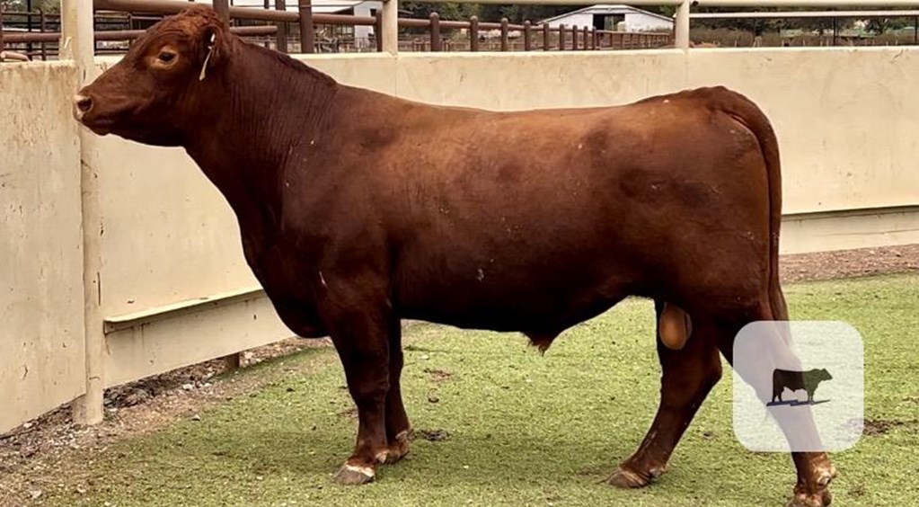 Cattle Range Listing Photo