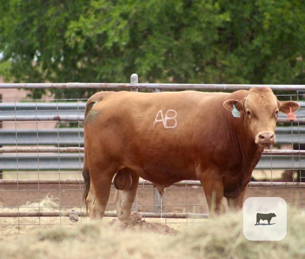 Cattle Range Listing Photo