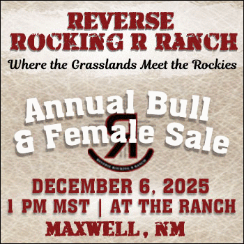 Reverse Rocking R Ranch Annual Bull & Female Sale