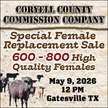 Coryell County Commission Company Special Female Replacement Sale