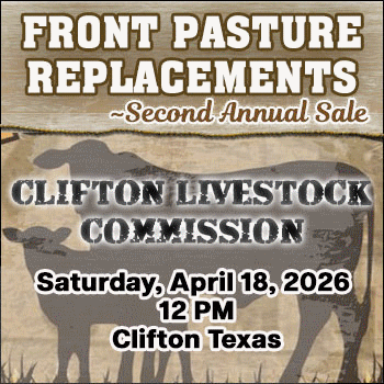 Front Pasture Replacements Sale- Clifton Livestock Commission