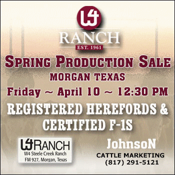 W4 Ranch Spring Production Sale
