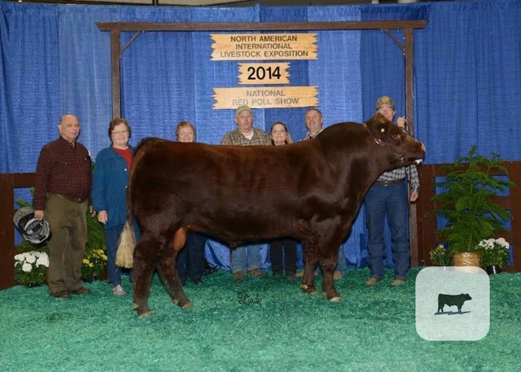 Cattle Range Listing Photo