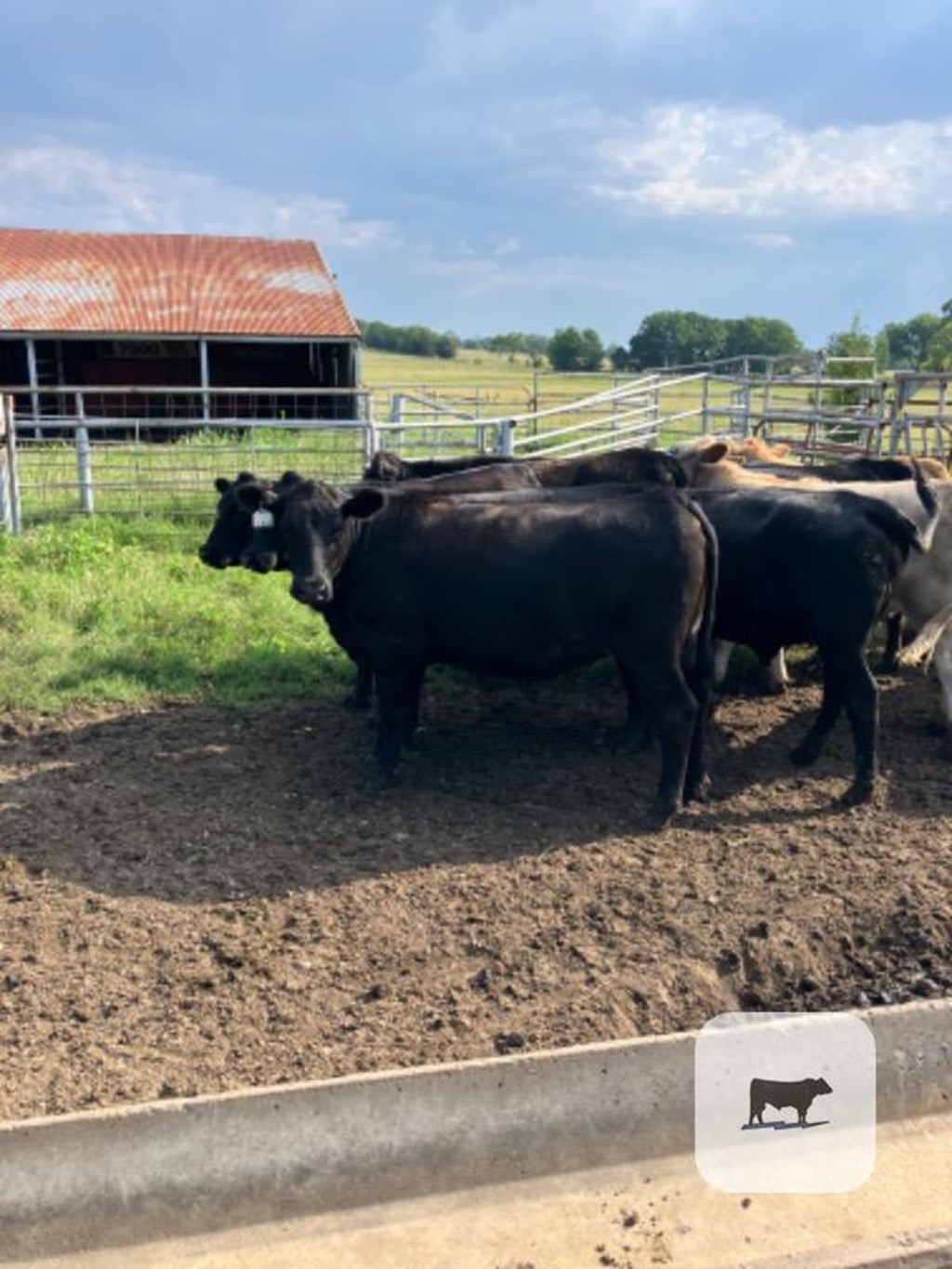 Cattle Range Listing Photo