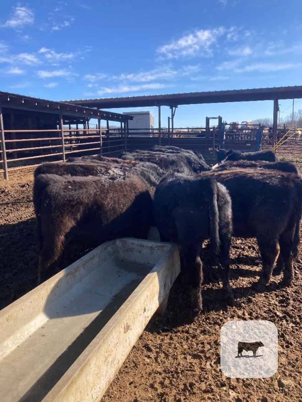 Cattle Range Listing Photo