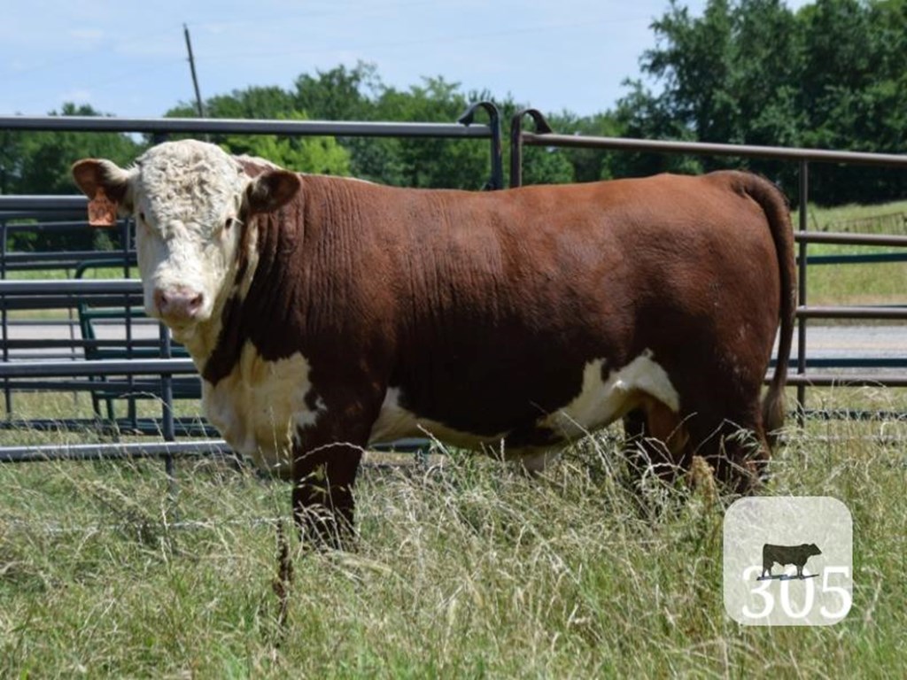 Cattle Range Listing Photo