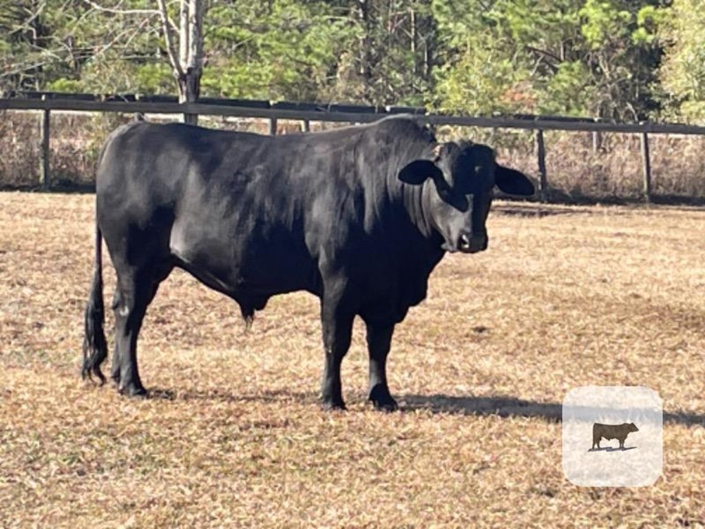 Cattle Range Listing Photo