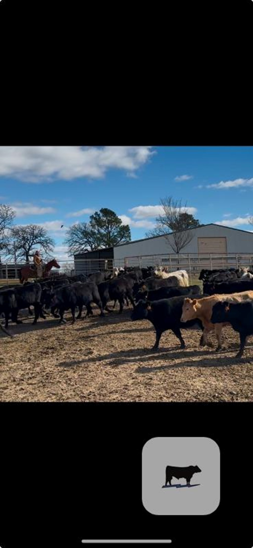 Cattle Range Listing Photo