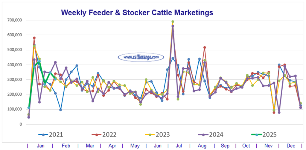 Feeder & Stocker Cattle Marketings for the week ending 2/8/25