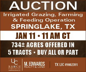 Weekly Feeder & Stocker Cattle Marketings For Week Ending 11/5/22 ...