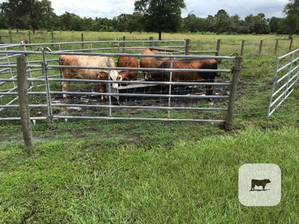 Cattle Range Listing Photo