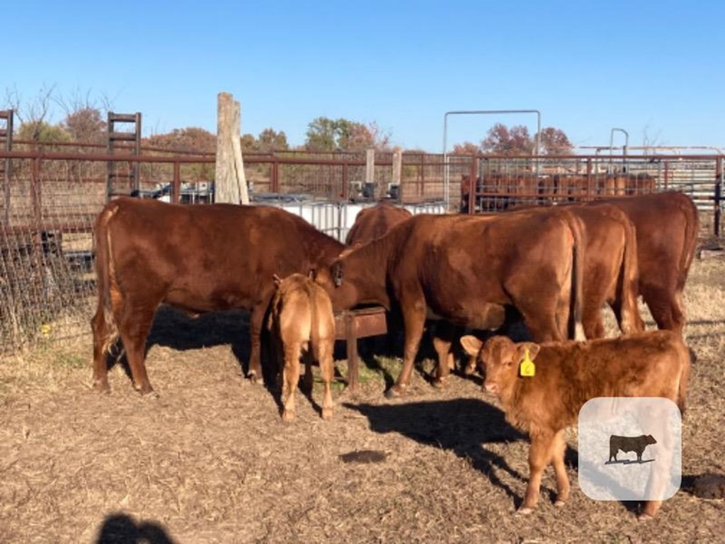 Cattle Range Listing Photo