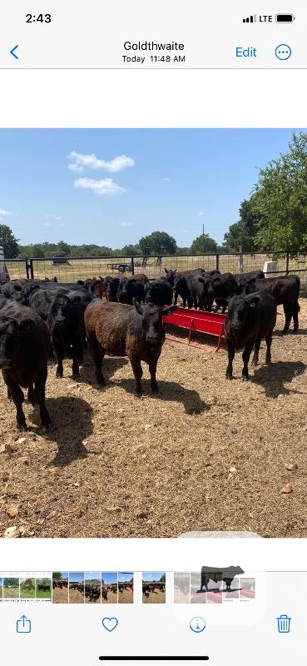 Cattle Range Listing Photo