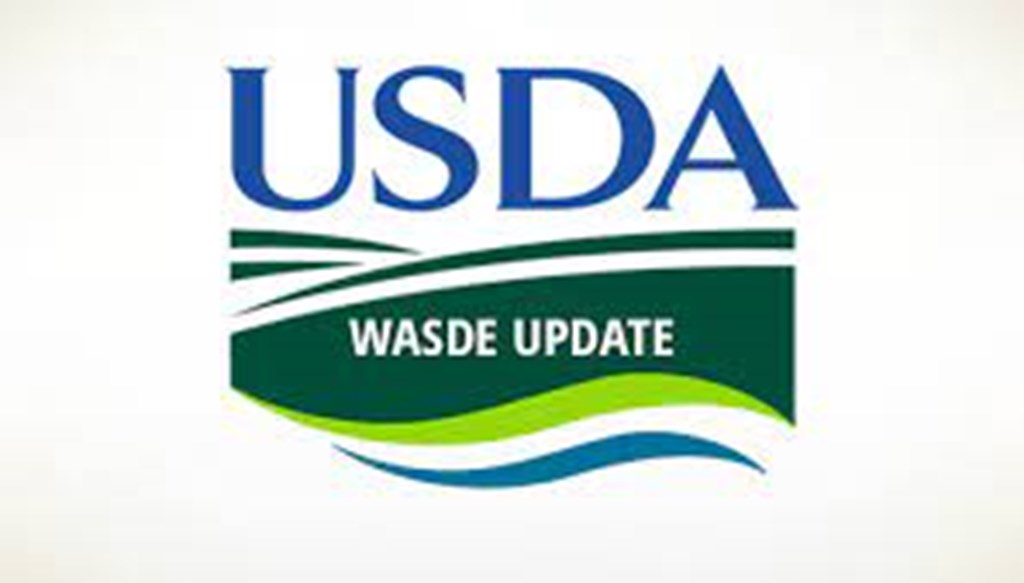 October WASDE Report: Cattle Prices Projected Higher; Corn Prices Unchanged