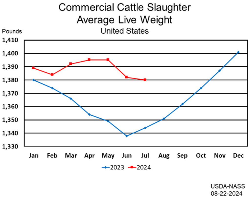 August Livestock Slaughter Report: Red Meat Production Up 10 Percent from Last Year