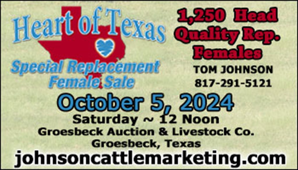 Heart of Texas Special Replacement Female Sale – October 5 (1)