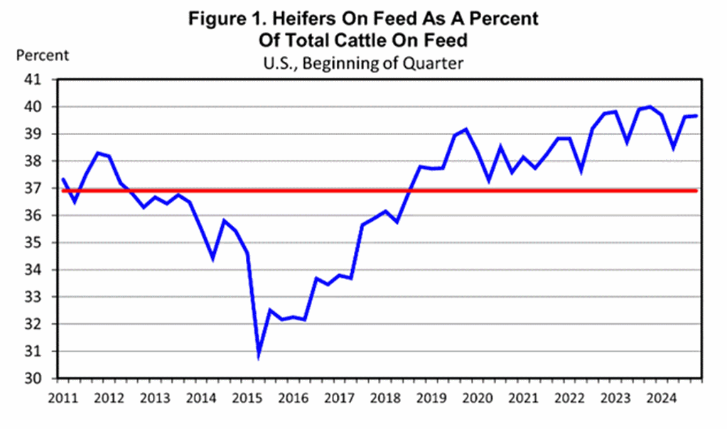 Heifer Feeding Keeps Feedlot Inventories Large