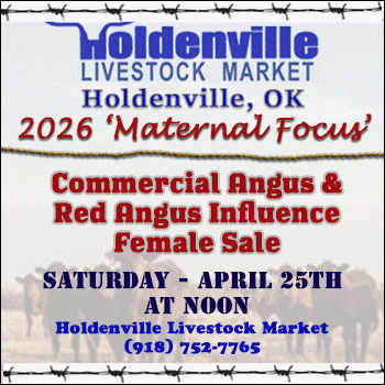 Holdenville Livestock Market 'Maternal Focus' Commercial Angus & Red Angus Influence Female Sale