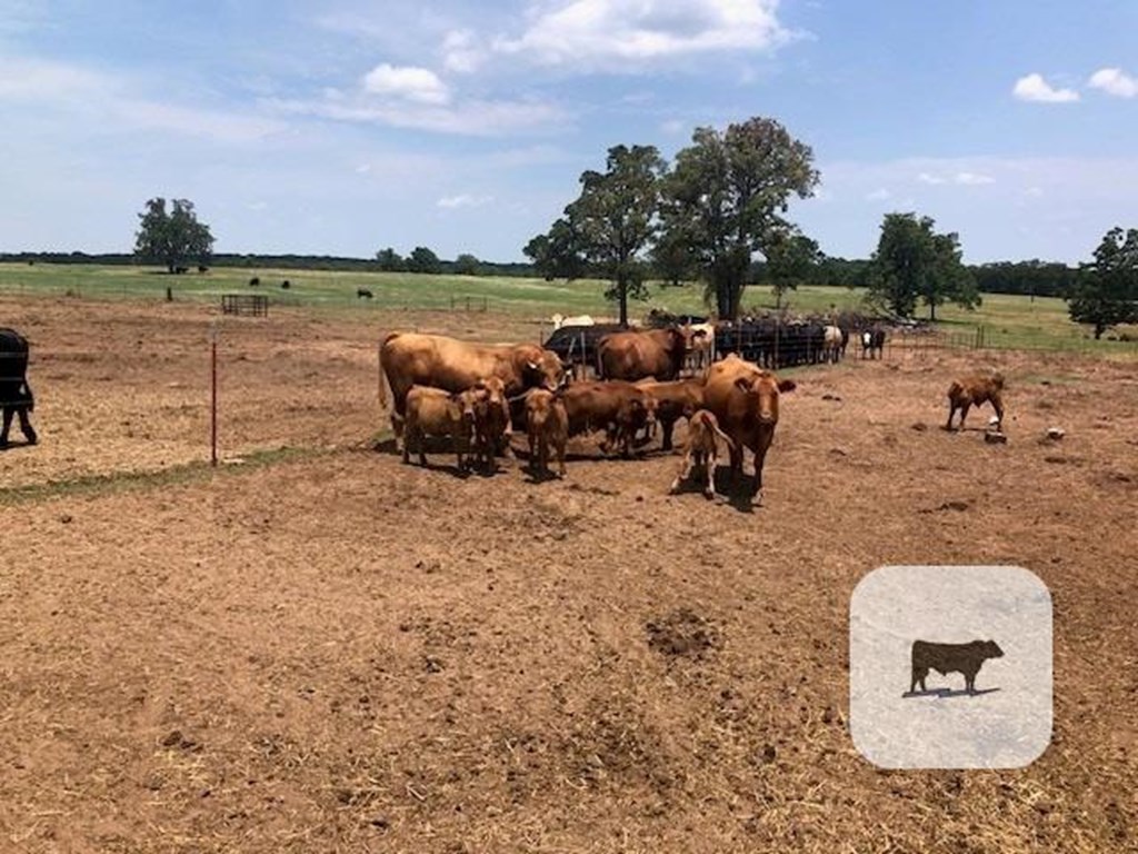 Cattle Range Listing Photo