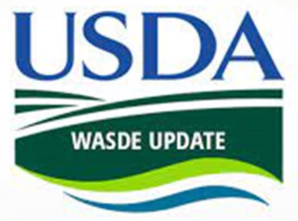 WASDE: Higher Cattle Prices & Beef Production Forecast for 2025