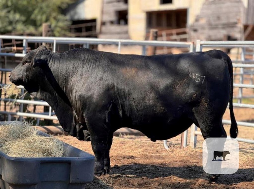 Cattle Range Listing Photo