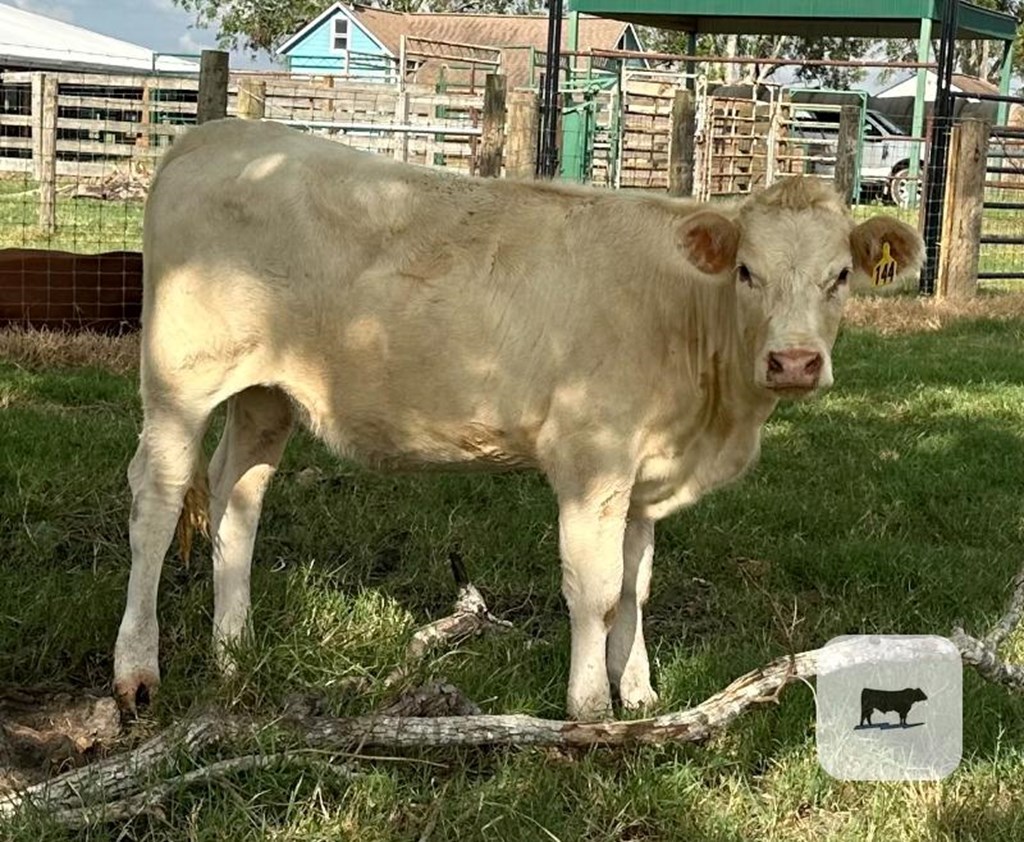 Cattle Range Listing Photo