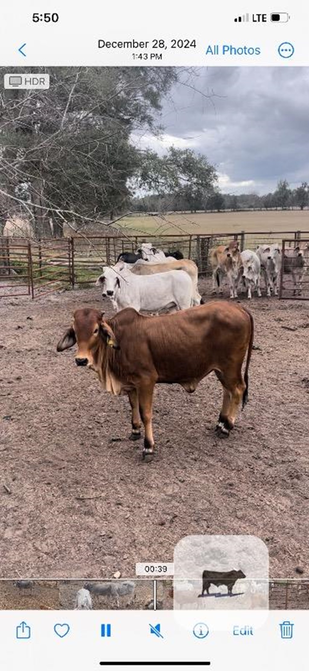 Cattle Range Listing Photo