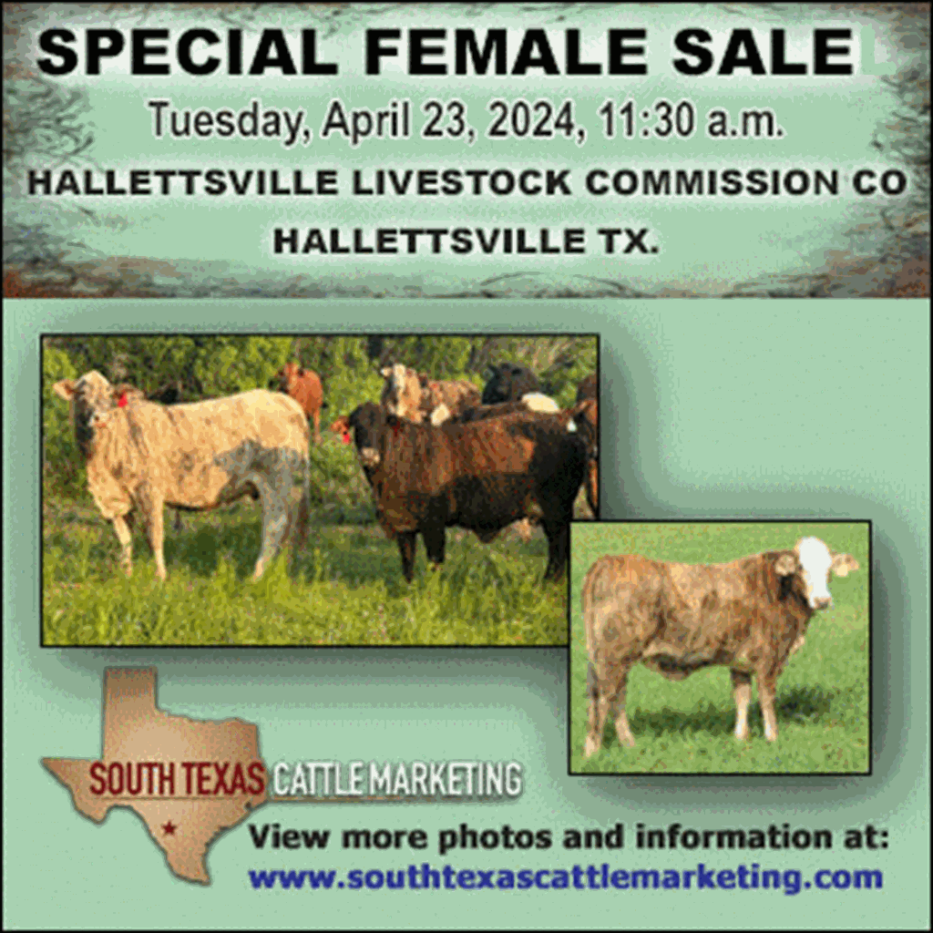 CDC say Bird Flu Detected in a Person Exposed to Dairy Cattle Cattle Range