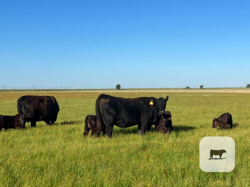 Cattle Range Listing Photo