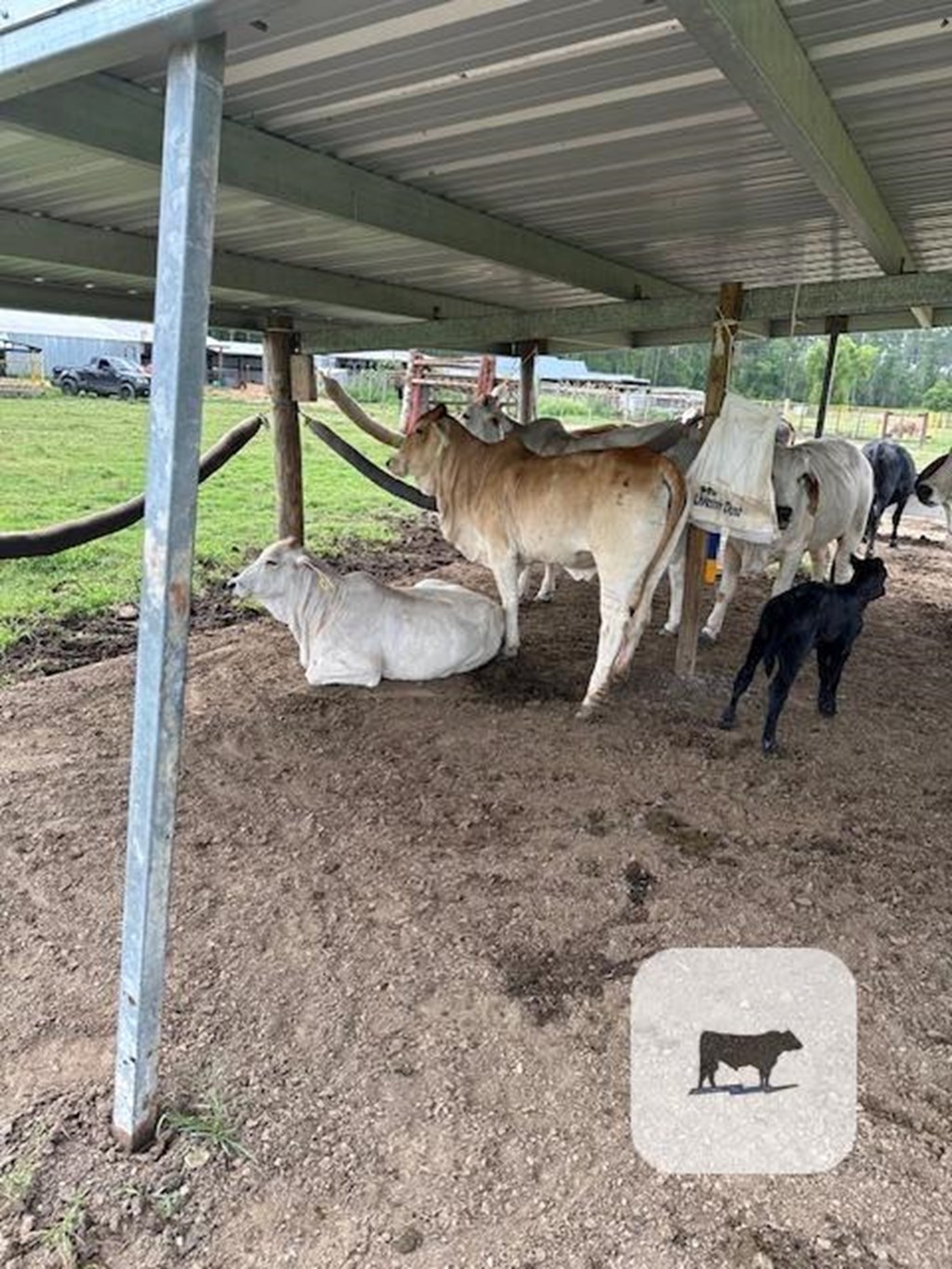 Cattle Range Listing Photo