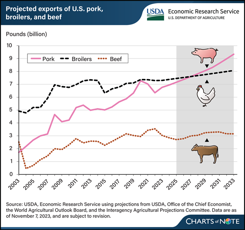 Pork Exports Projected to Surge; Beef Exports Weak to Steady Cattle Range