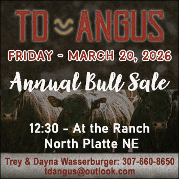 TD Angus Annual Bull Sale